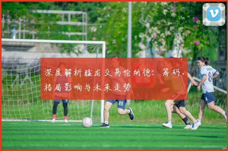 深度解析猛龙交易伦纳德：筹码、格局影响与未来走势